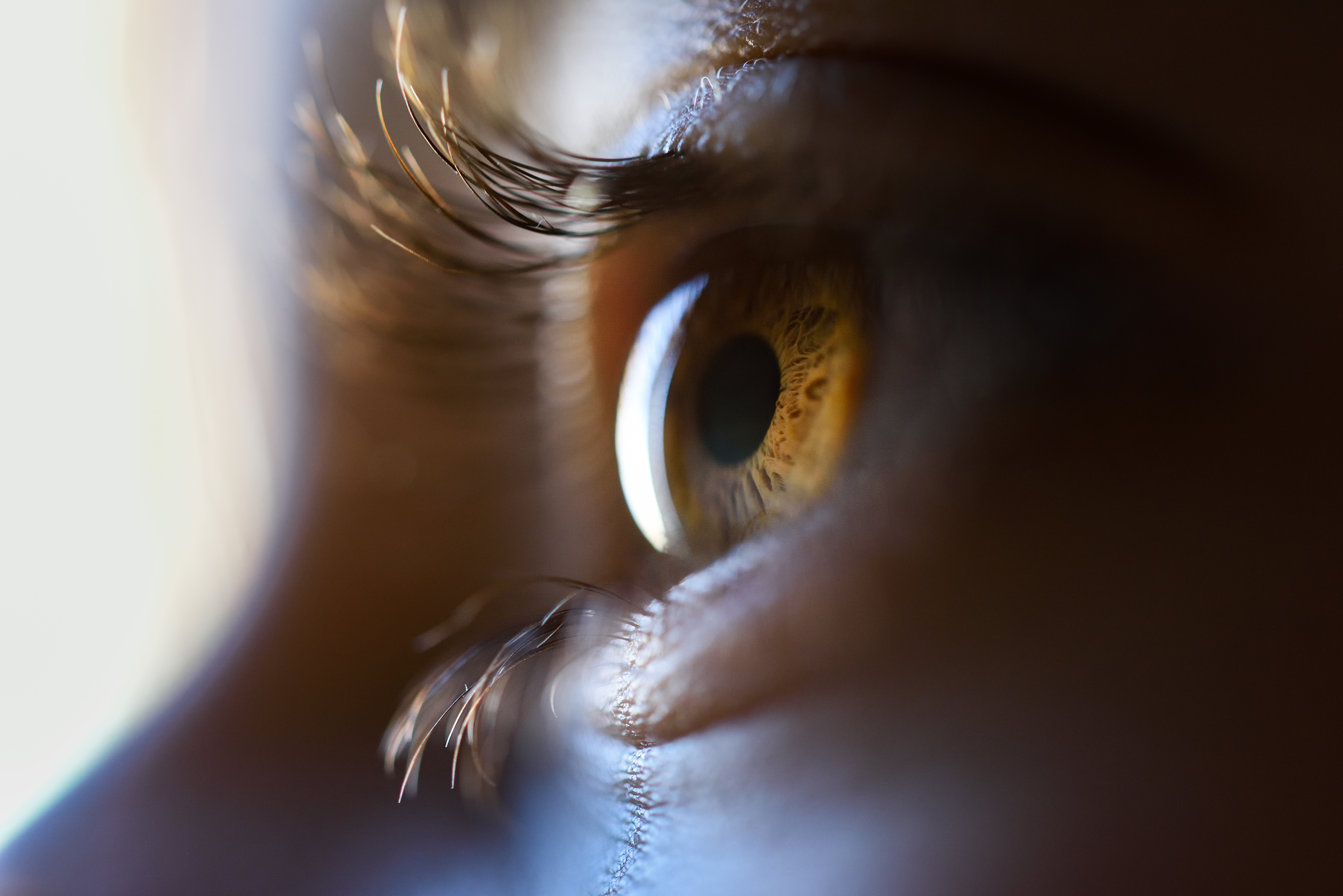 EMDR therapy